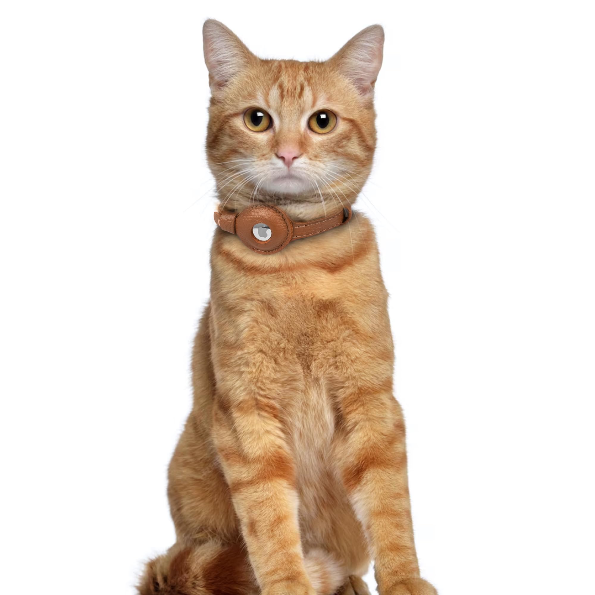 Collier AirTag en Cuir pour Chat avec Clochette OOPSDOGGY – Image 6