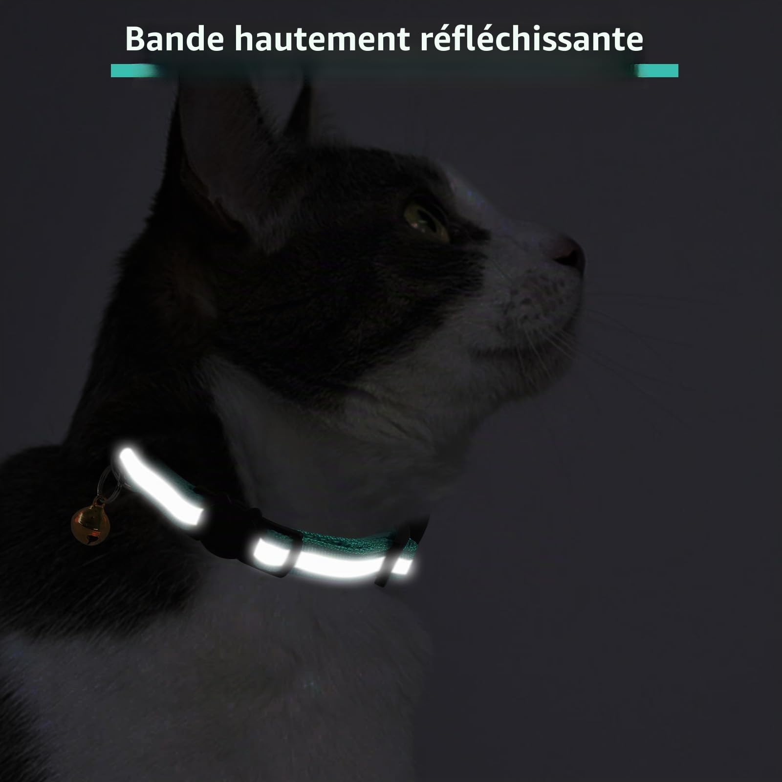 Collier pour chat AirTag personnalisé nylon brodé avec étui étanche et cloche – Image 4