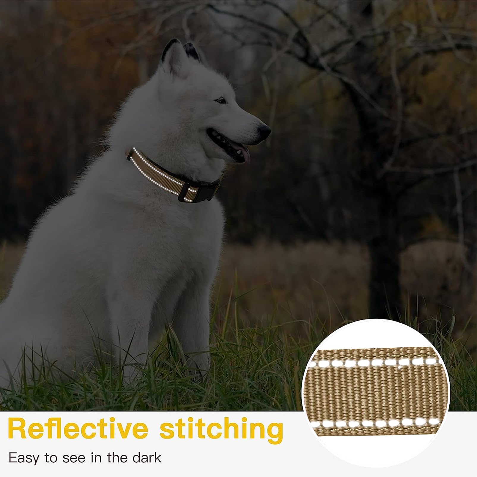 Collier AirTag réfléchissant pour chien HEELE en néoprène doux, taille S – Image 5