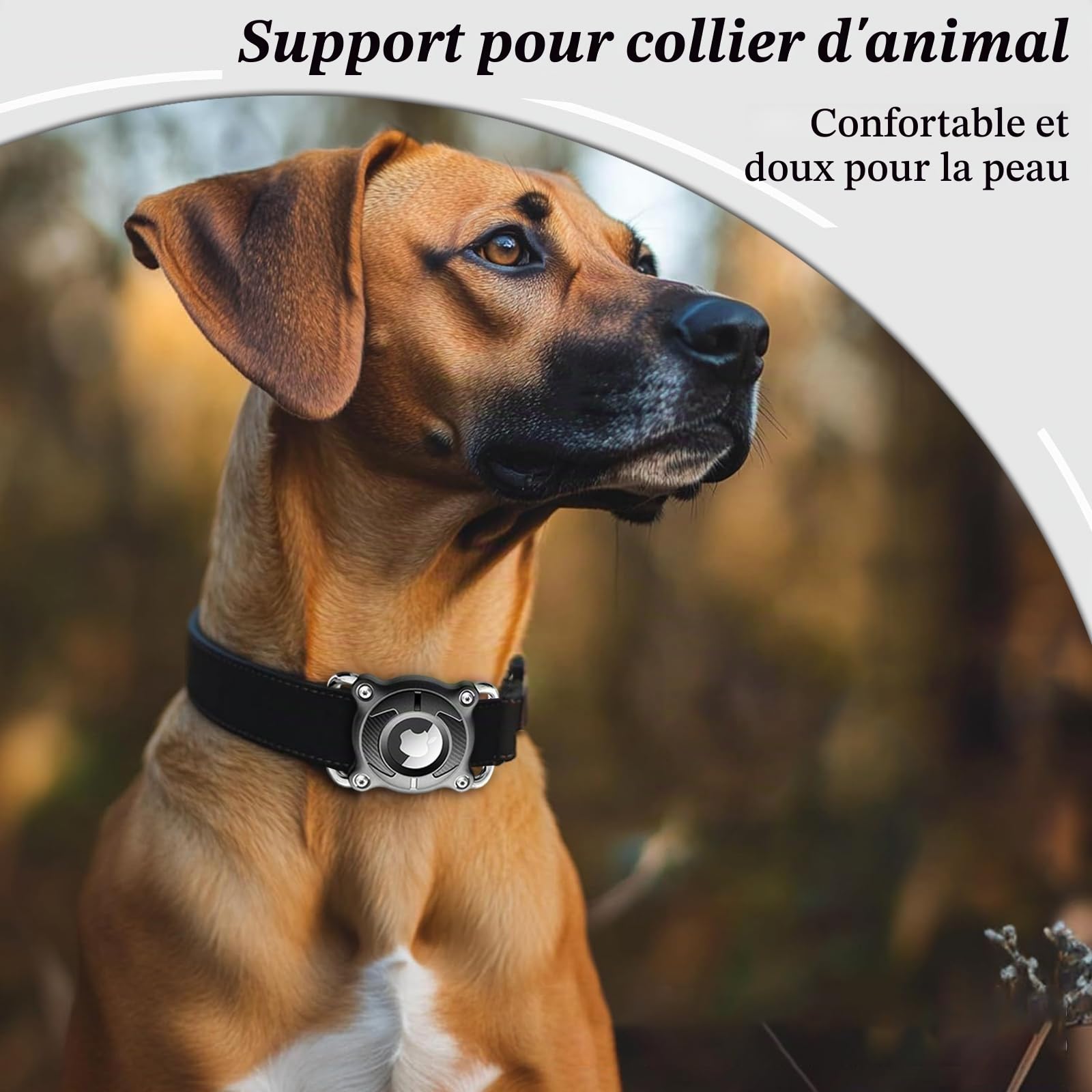 Collier pour chien AirTag avec boucle métallique amovible 4 cm étanche noir – Image 4