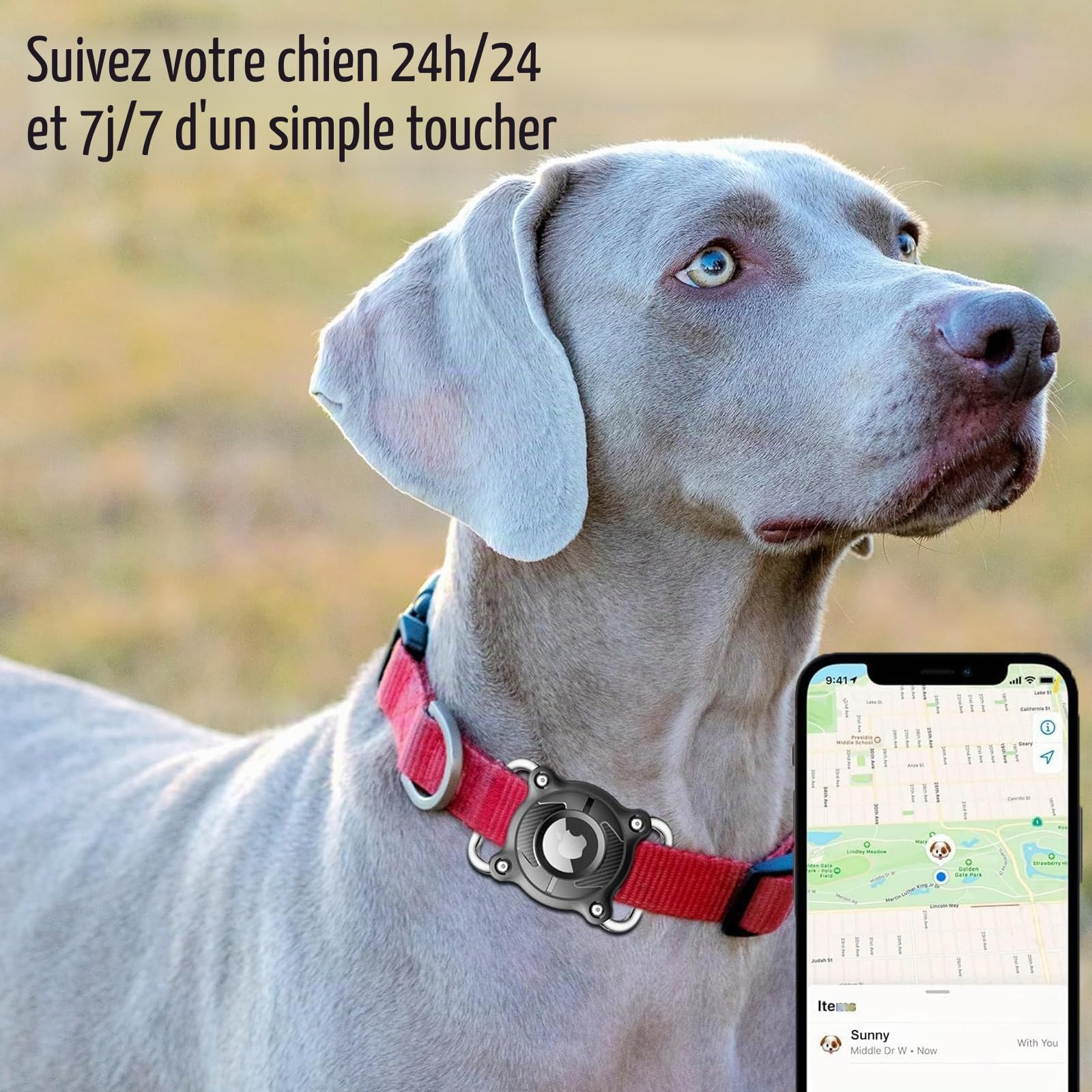 Collier pour chien AirTag avec boucle métallique amovible 4 cm étanche noir – Image 6